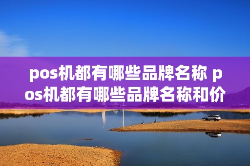 pos机都有哪些品牌名称 pos机都有哪些品牌名称和价格