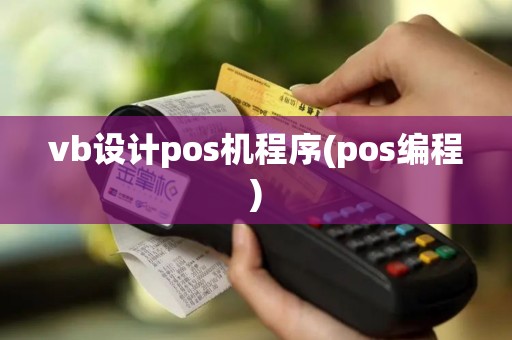 vb设计pos机程序(pos编程)