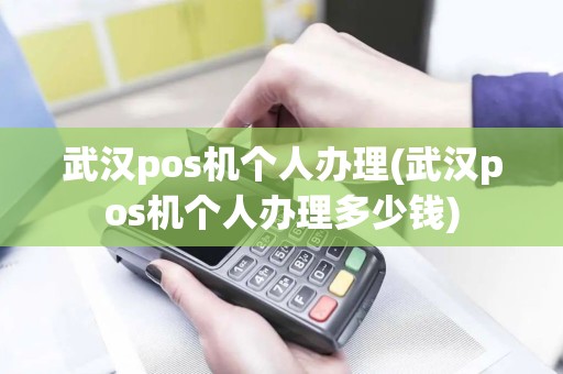 武汉pos机个人办理(武汉pos机个人办理多少钱)