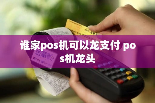 谁家pos机可以龙支付 pos机龙头