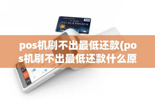 pos机刷不出最低还款(pos机刷不出最低还款什么原因)