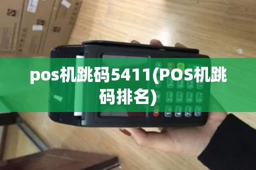 pos机跳码5411(POS机跳码排名)