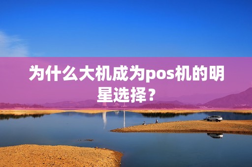 为什么大机成为pos机的明星选择？