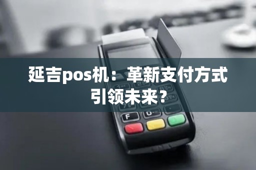 延吉pos机：革新支付方式引领未来？