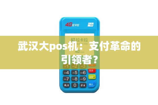 武汉大pos机：支付革命的引领者？