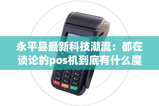 永平县最新科技潮流：都在谈论的pos机到底有什么魔力？