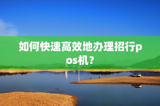 如何快速高效地办理招行pos机？