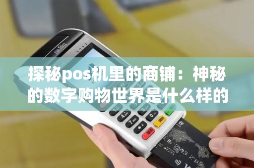 探秘pos机里的商铺：神秘的数字购物世界是什么样的？