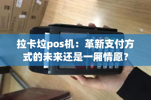 拉卡垃pos机：革新支付方式的未来还是一厢情愿？