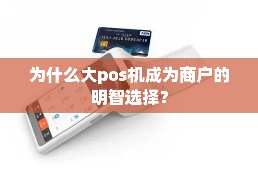 为什么大pos机成为商户的明智选择？
