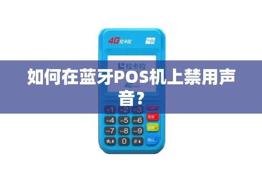 如何在蓝牙POS机上禁用声音？