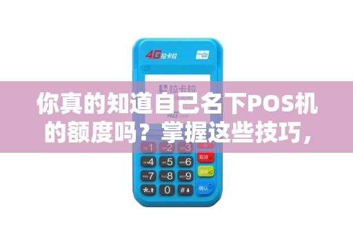 你真的知道自己名下POS机的额度吗？掌握这些技巧，让你深入了解！