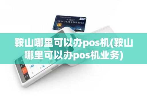 鞍山哪里可以办pos机(鞍山哪里可以办pos机业务)