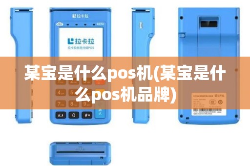 某宝是什么pos机(某宝是什么pos机品牌)