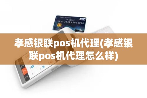孝感银联pos机代理(孝感银联pos机代理怎么样)