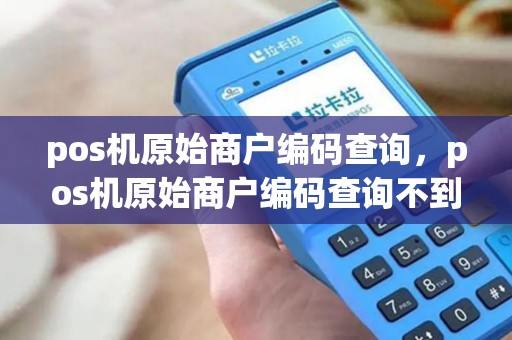 pos机原始商户编码查询，pos机原始商户编码查询不到
