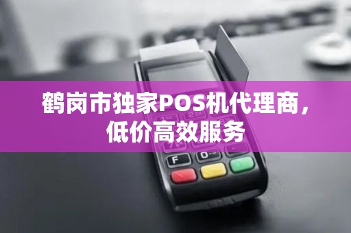 鹤岗市独家POS机代理商，低价高效服务