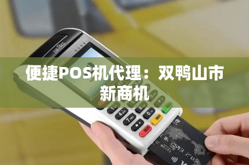 便捷POS机代理：双鸭山市新商机