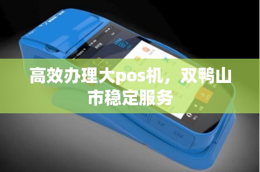 高效办理大pos机，双鸭山市稳定服务