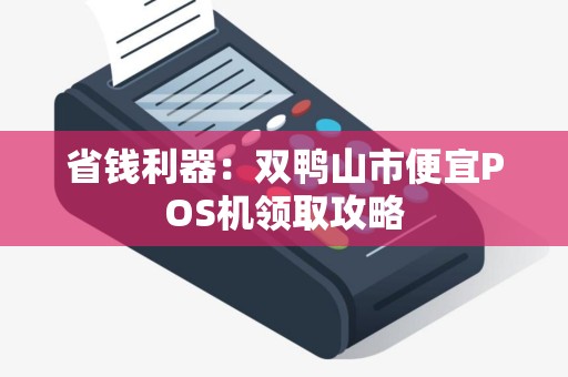 省钱利器：双鸭山市便宜POS机领取攻略