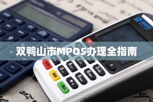 双鸭山市MPOS办理全指南