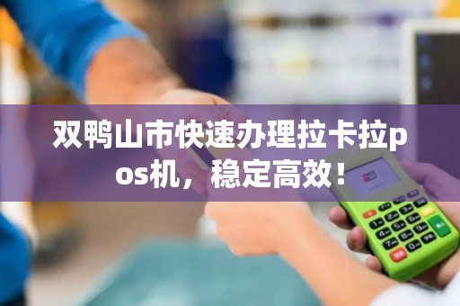 双鸭山市快速办理拉卡拉pos机，稳定高效！