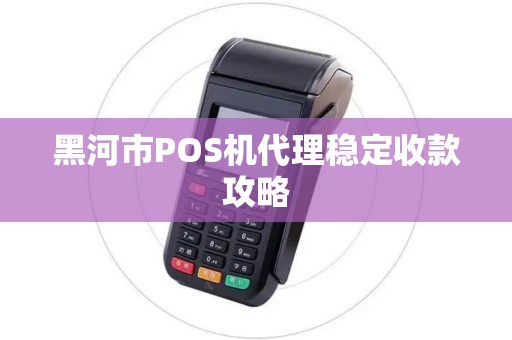 黑河市POS机代理稳定收款攻略