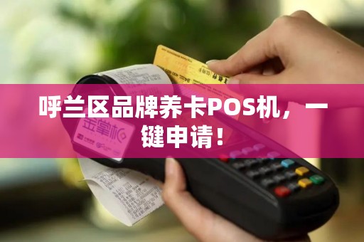 呼兰区品牌养卡POS机，一键申请！