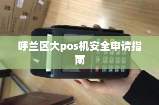 呼兰区大pos机安全申请指南