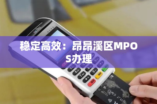 稳定高效：昂昂溪区MPOS办理