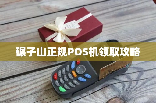 碾子山正规POS机领取攻略