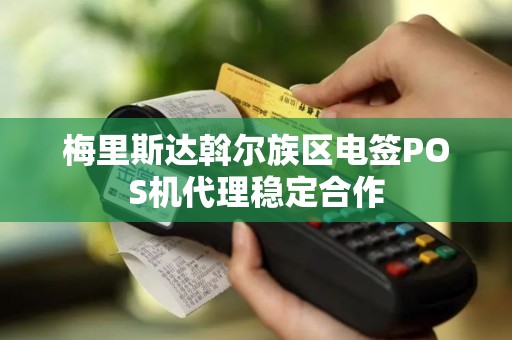 梅里斯达斡尔族区电签POS机代理稳定合作