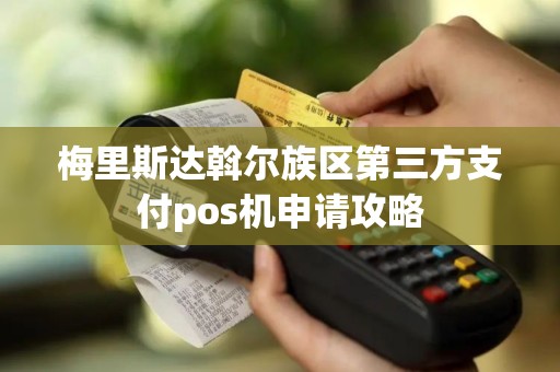 梅里斯达斡尔族区第三方支付pos机申请攻略