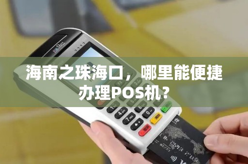 海南之珠海口，哪里能便捷办理POS机？