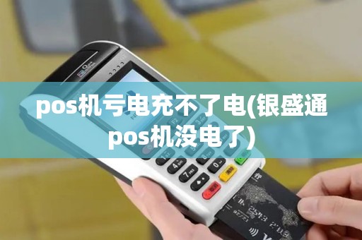 pos机亏电充不了电(银盛通pos机没电了)