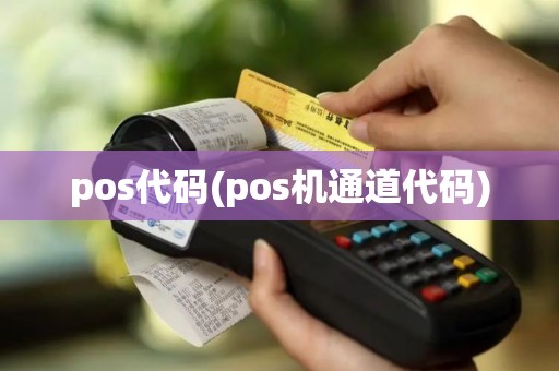 pos代码(pos机通道代码)