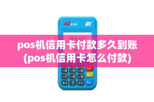 pos机信用卡付款多久到账(pos机信用卡怎么付款)