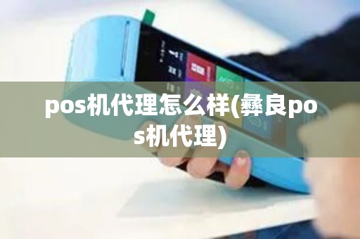 pos机代理怎么样(彝良pos机代理)