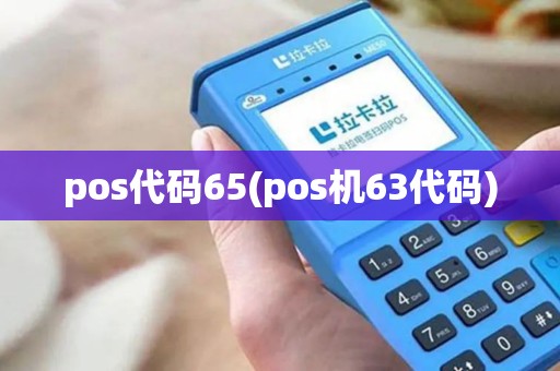 pos代码65(pos机63代码) pos代码65(pos机63代码)