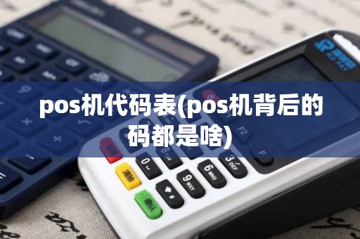 pos机代码表(pos机背后的码都是啥)