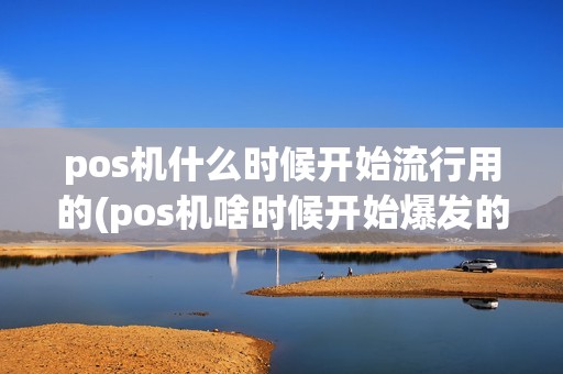 pos机什么时候开始流行用的(pos机啥时候开始爆发的)