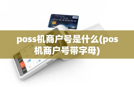 poss机商户号是什么(pos机商户号带字母)