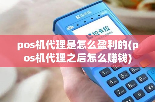 pos机代理是怎么盈利的(pos机代理之后怎么赚钱) pos机代理是怎么盈利的(pos机代理之后怎么赚钱)