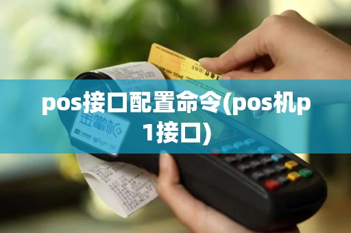 pos接口配置命令(pos机p1接口)