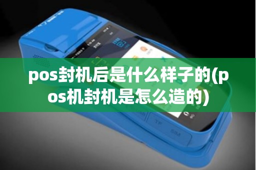 pos封机后是什么样子的(pos机封机是怎么造的)