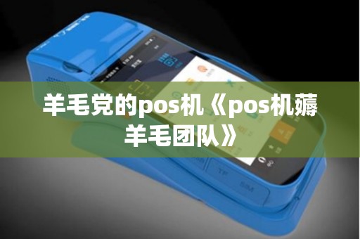 羊毛党的pos机《pos机薅羊毛团队》