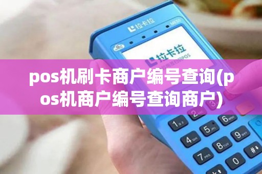 pos机刷卡商户编号查询(pos机商户编号查询商户)