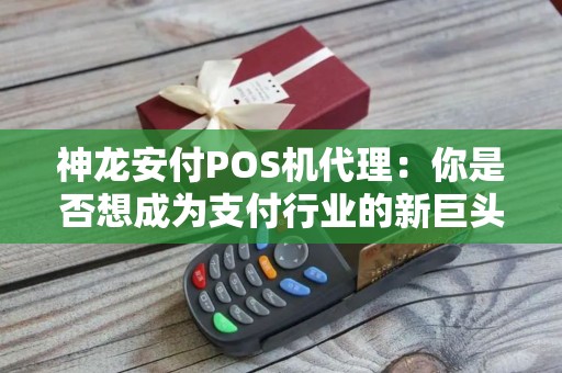 神龙安付POS机代理：你是否想成为支付行业的新巨头？