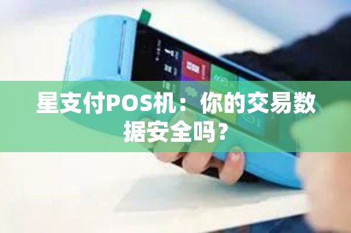 星支付POS机：你的交易数据安全吗？