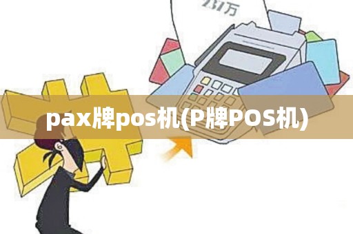 pax牌pos机(P牌POS机)